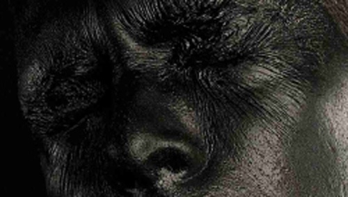 SPEECH di DAVIDE FAGGIANO