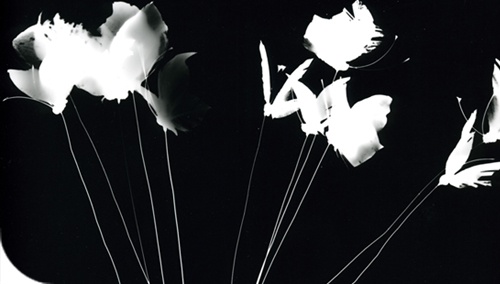 OGNI COSA HA IL SUO TEMPO