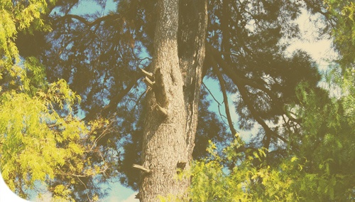 MUSEO DEI SENTIMENTI